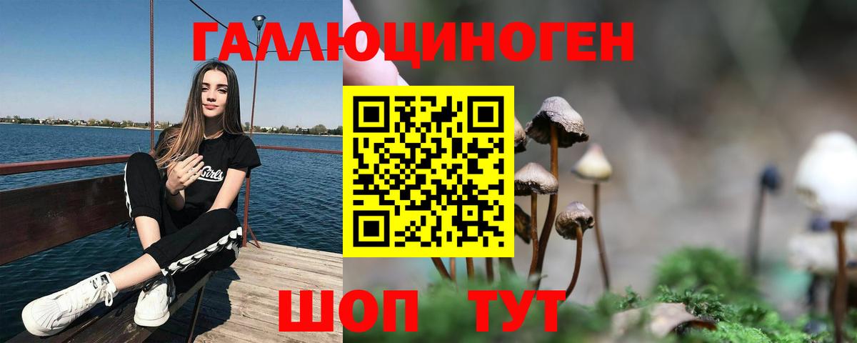 Галлюциногенные грибы GOLDEN TEACHER Армавир