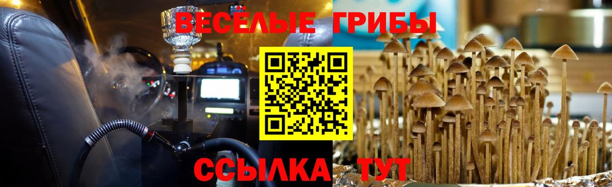 Псилоцибиновые грибы Cubensis  Вход с VPN  Галлюциногенные грибы Psilocybine cubensis  Армавир 